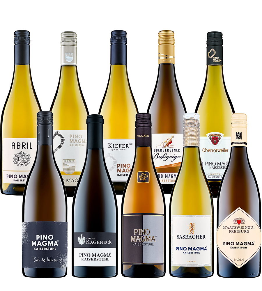 10er Probierpaket Pino Magma