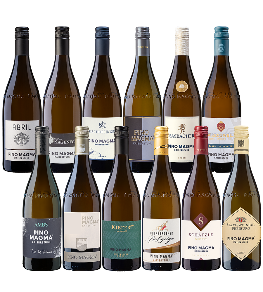 12er Probierpaket Pino Magma