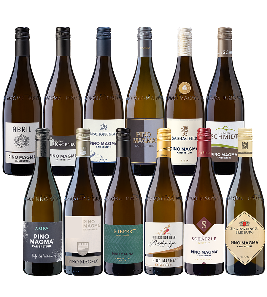 12er Probierpaket Pino Magma