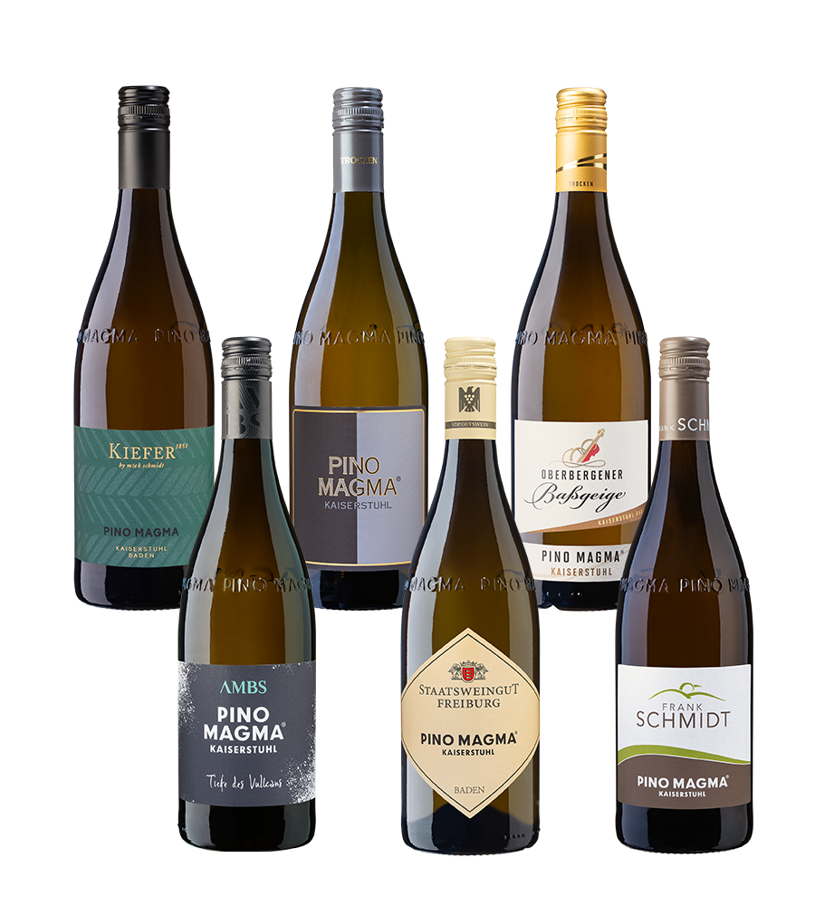 6er Probierpaket Pino Magma